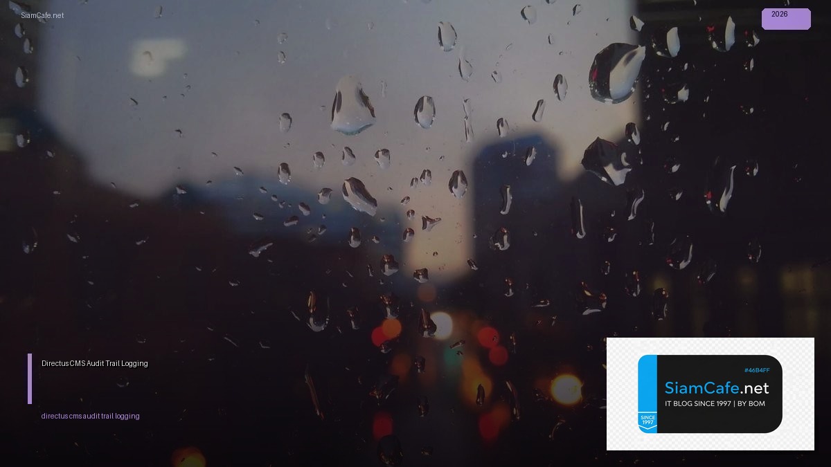 directus cms audit trail logging