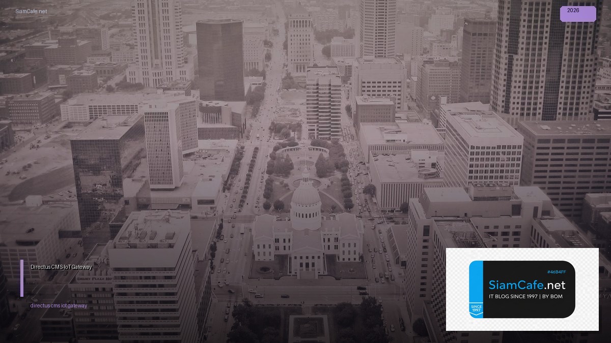 directus cms iot gateway