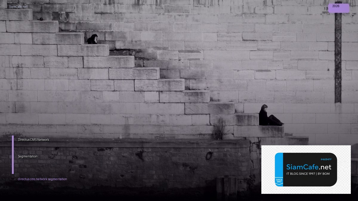 directus cms network segmentation