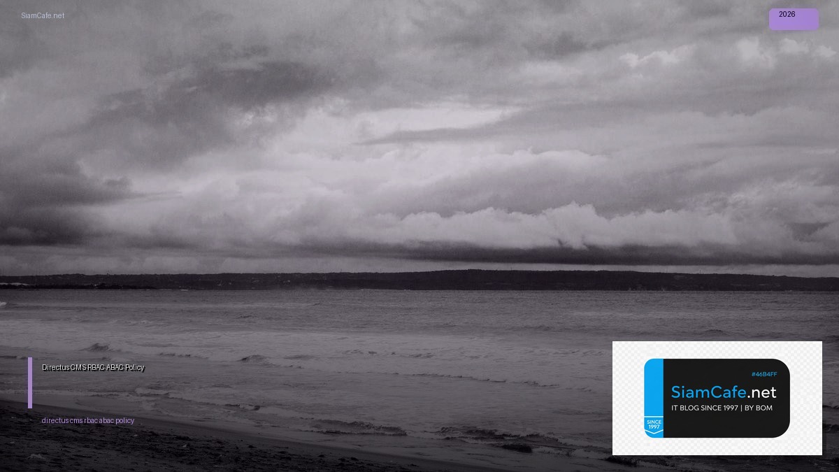 directus cms rbac abac policy