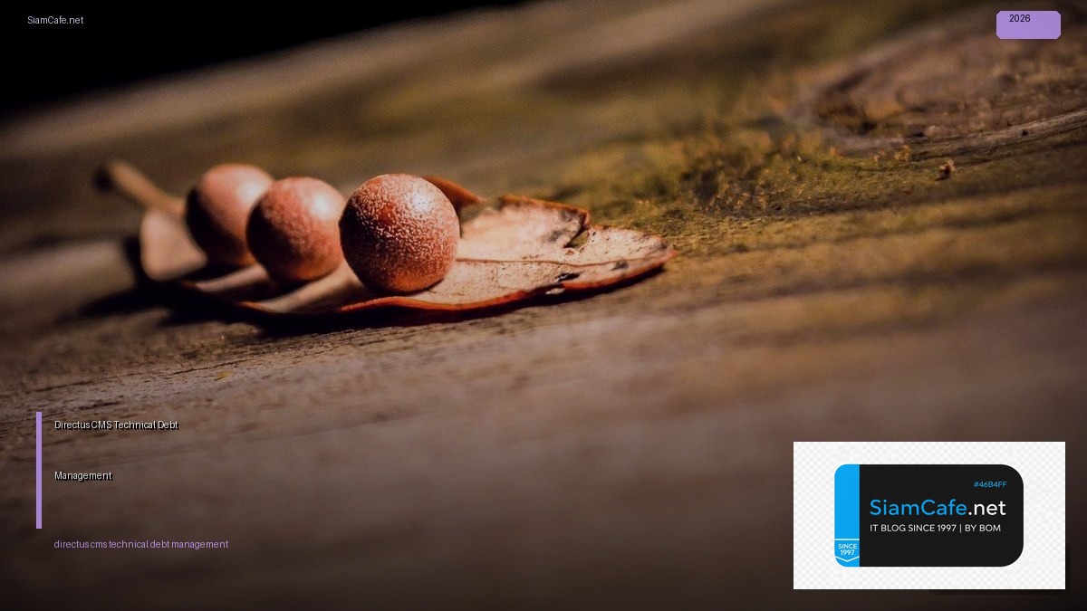 Directus CMS Technical Debt Management | SiamCafe Blog