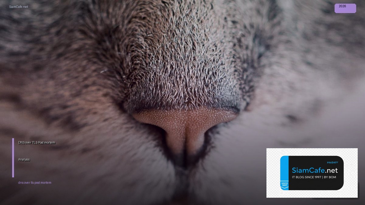 dns over tls post mortem analysis