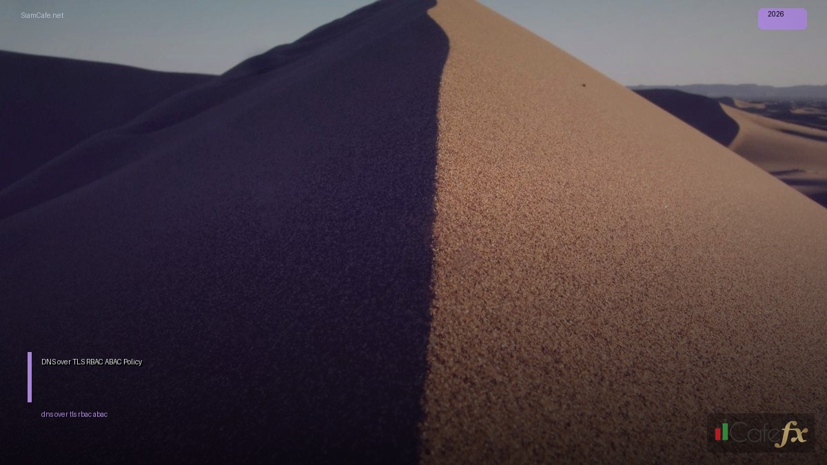 DNS over TLS RBAC ABAC Policy — คู่มือฉบับสมบูรณ์ 2026 | SiamCafe Blog