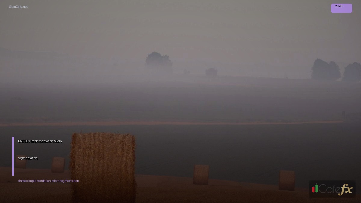 DNSSEC Implementation Micro-segmentation — คู่มือฉบับสมบูรณ์ 2026 | SiamCafe Blog