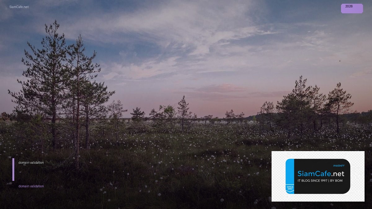 domain validation คือ | SiamCafe Blog