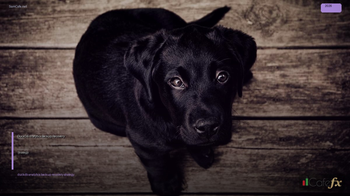 DuckDB Analytics Backup Recovery Strategy | SiamCafe Blog