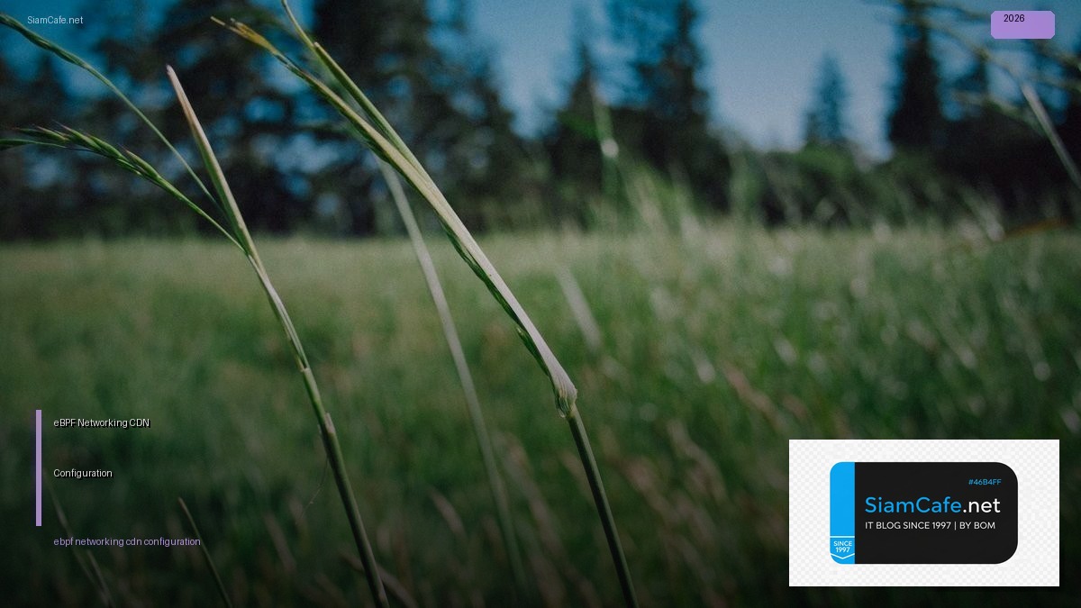 ebpf networking cdn configuration