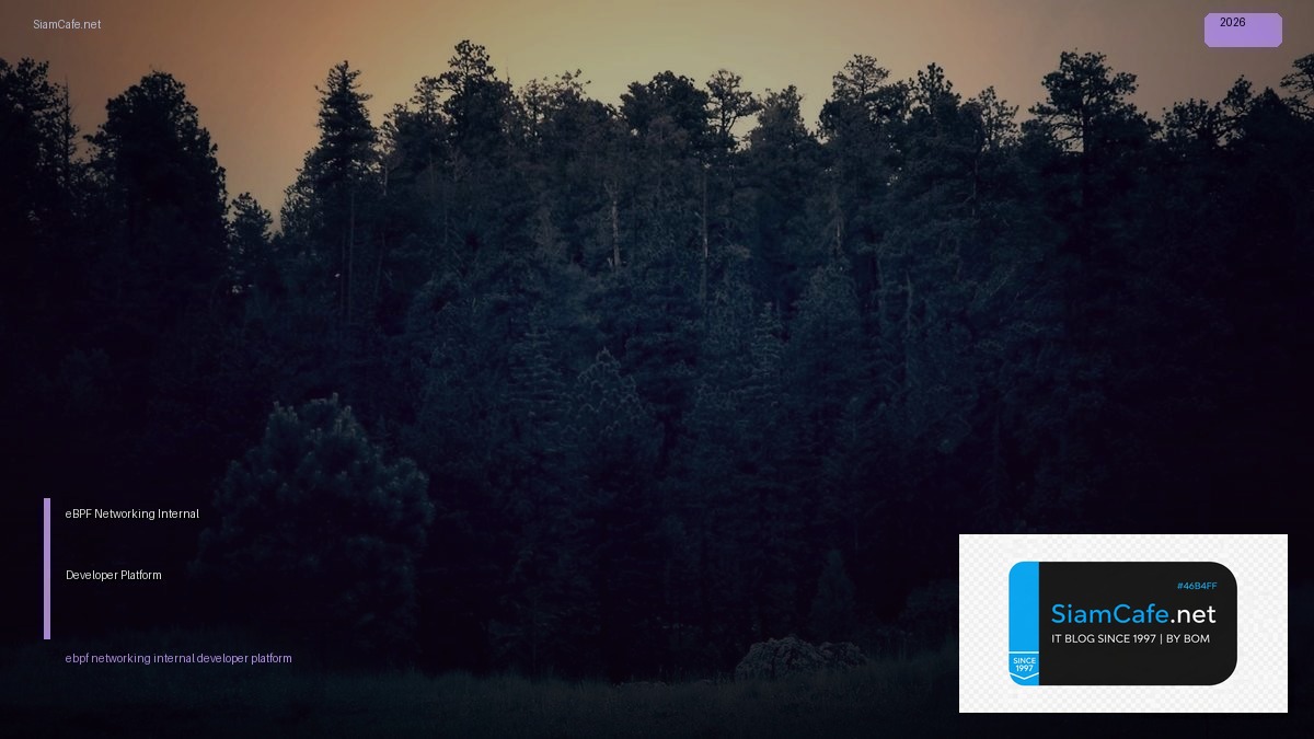 ebpf networking internal developer platform