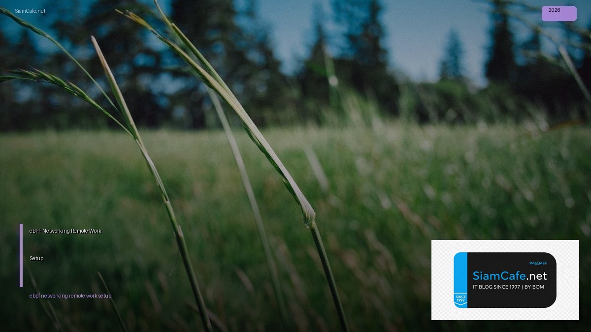 ebpf networking remote work setup