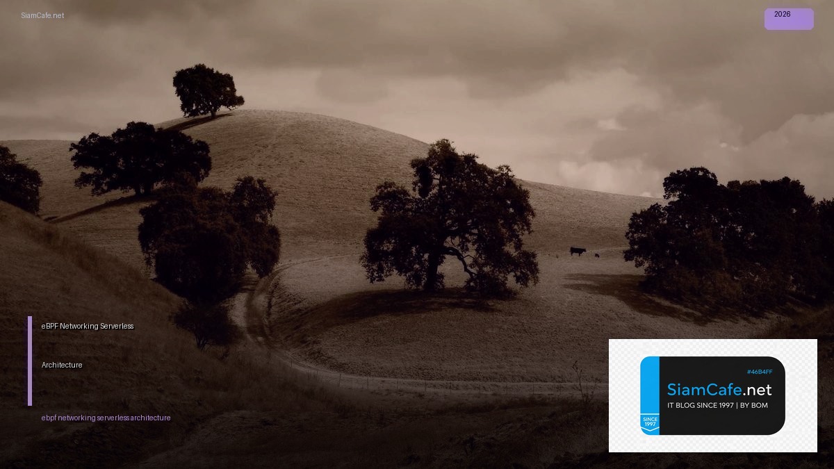 ebpf networking serverless architecture