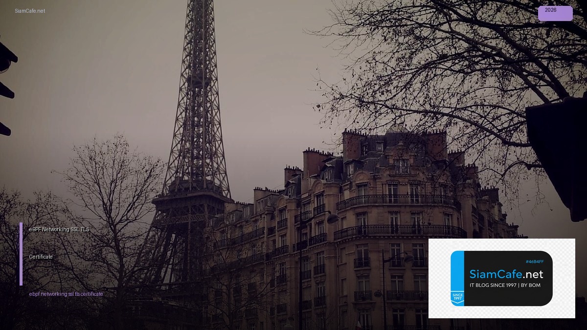 ebpf networking ssl tls certificate