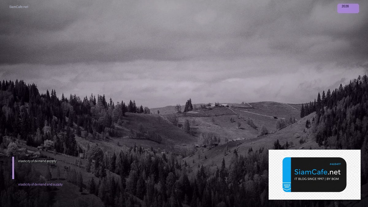 elasticity of demand and supply