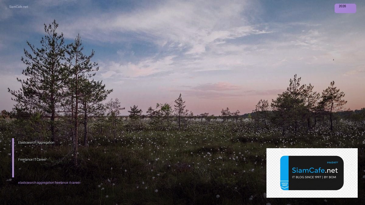 elasticsearch aggregation freelance it career