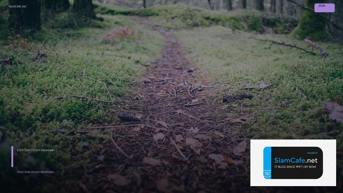 Elixir Ecto Citizen Developer — วิธีตั้งค่าและใช้งานจริงพร้อมตัวอย่าง