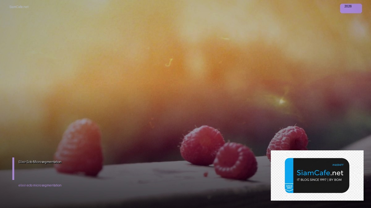 Elixir Ecto Micro-segmentation — คู่มือฉบับสมบูรณ์ 2026 | SiamCafe Blog