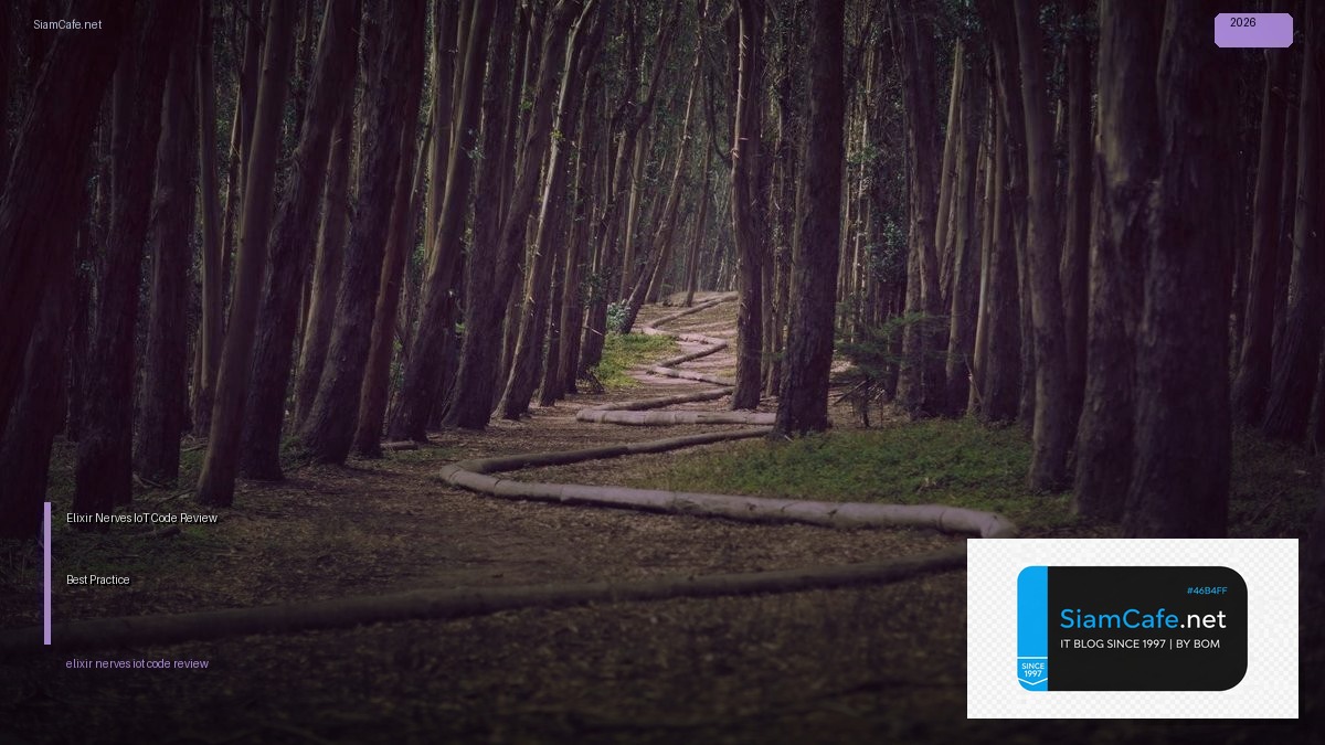 elixir nerves iot code review best practice