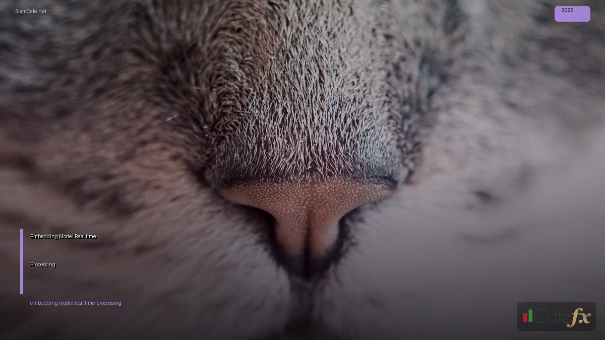 Embedding Model Real-time Processing | SiamCafe Blog