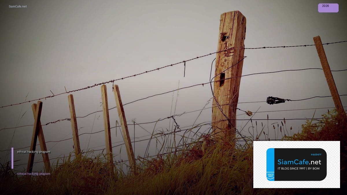 ethical hacking program