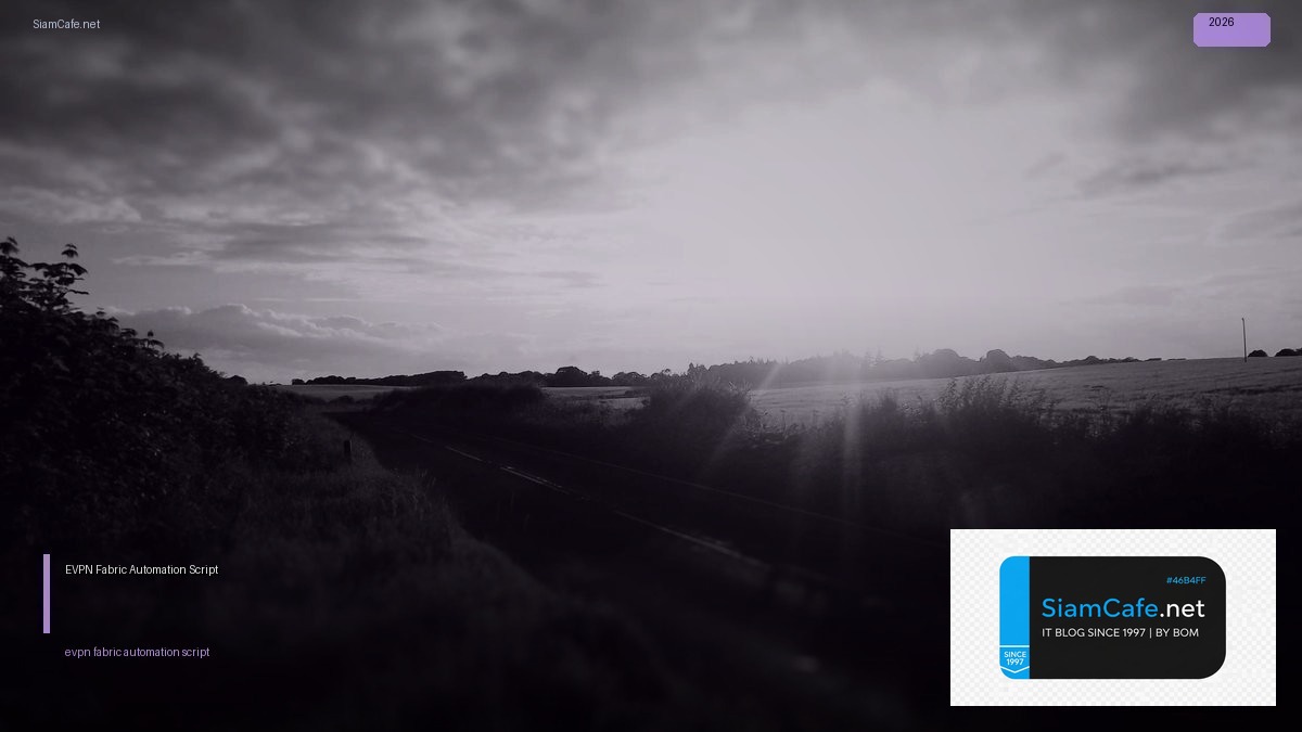 evpn fabric automation script