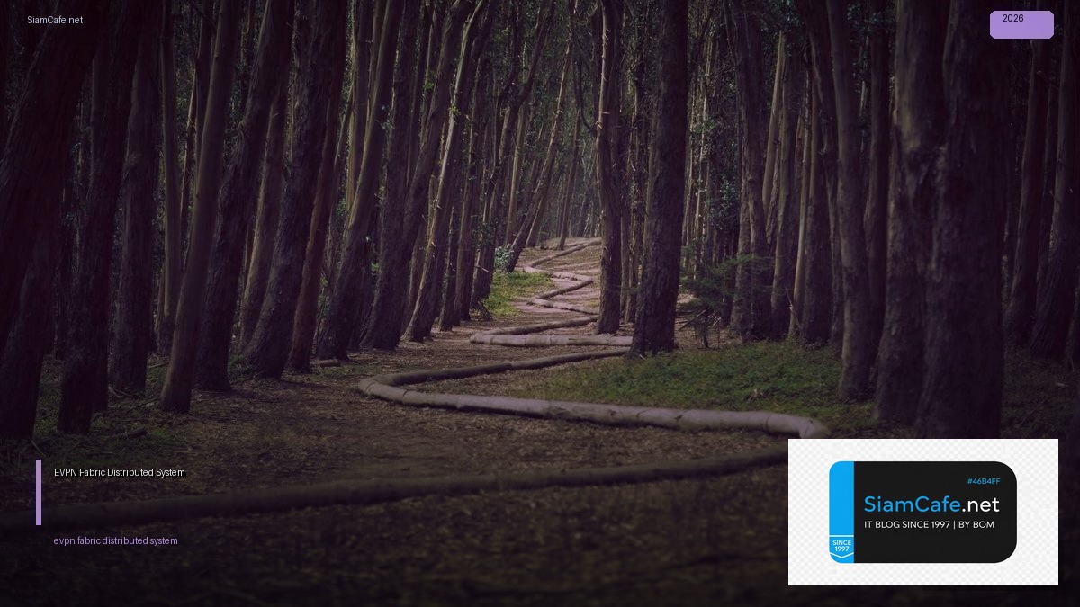 evpn fabric distributed system