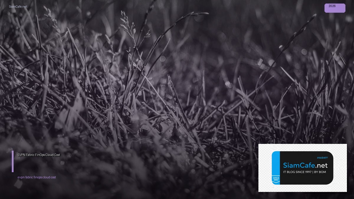 evpn fabric finops cloud cost