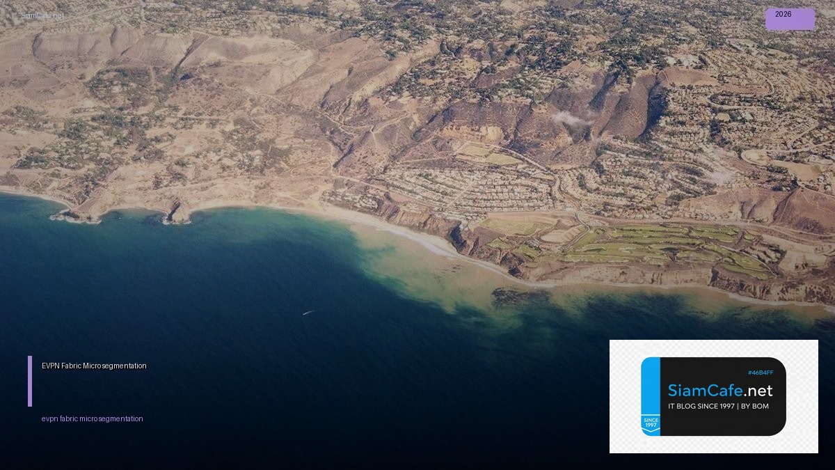 evpn fabric micro segmentation