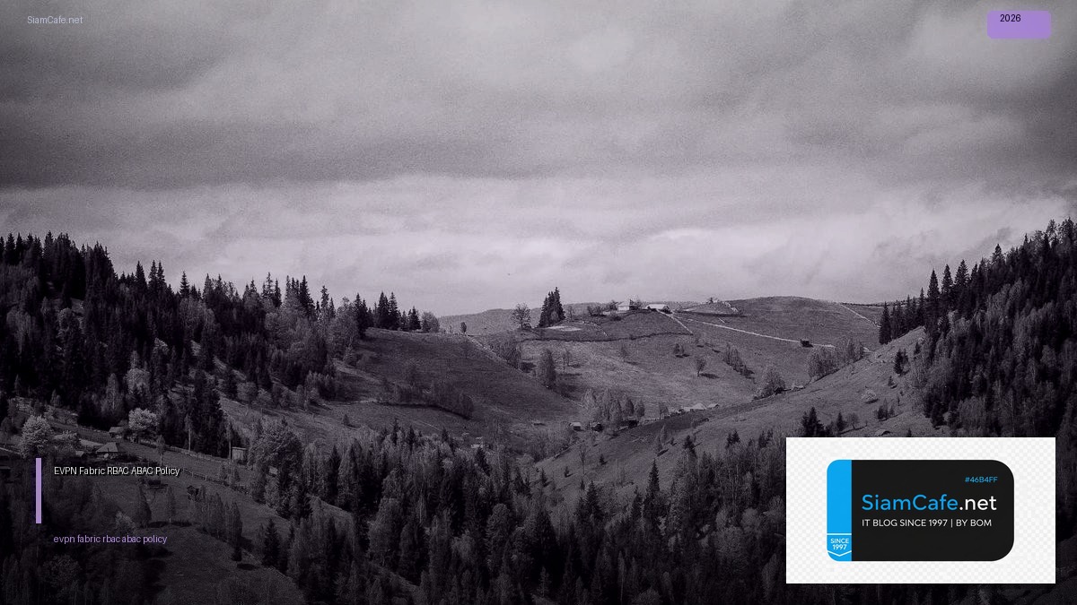 evpn fabric rbac abac policy