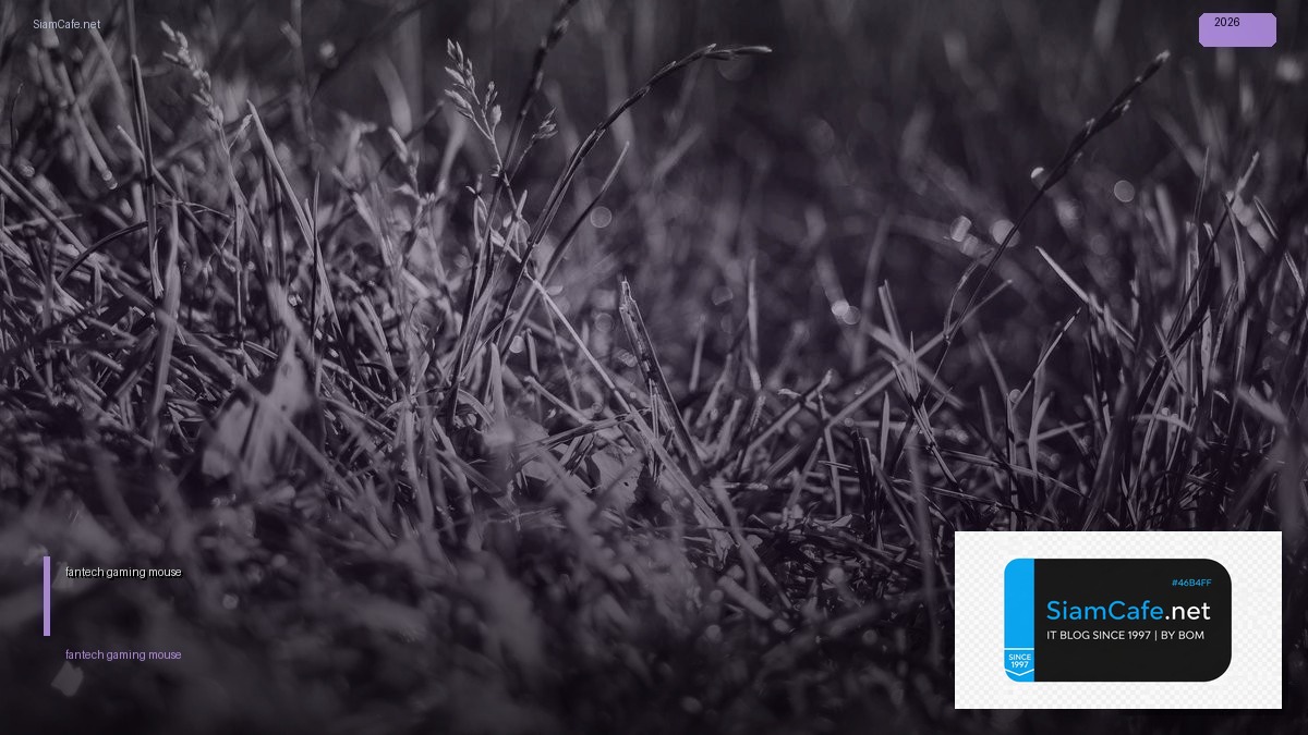 fantech gaming mouse เมาส์เกมมิ่ง | SiamCafe Blog