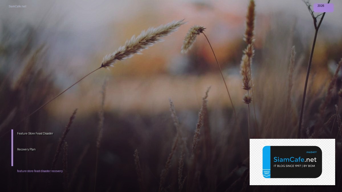 Feature Store Feast Disaster Recovery Plan | SiamCafe Blog