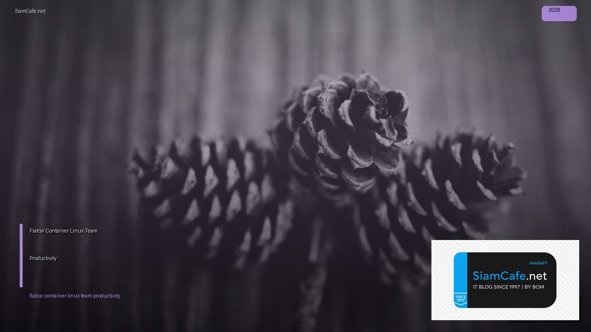 flatcar container linux team productivity