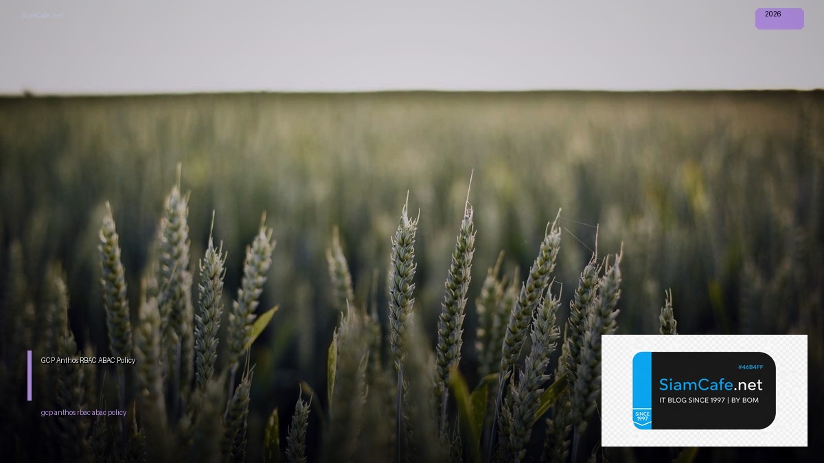 GCP Anthos RBAC ABAC Policy — คู่มือฉบับสมบูรณ์ 2026 | SiamCafe Blog