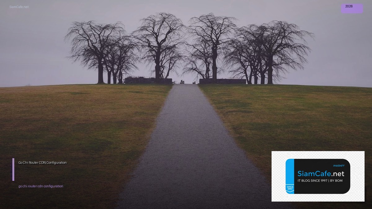 go chi router cdn configuration