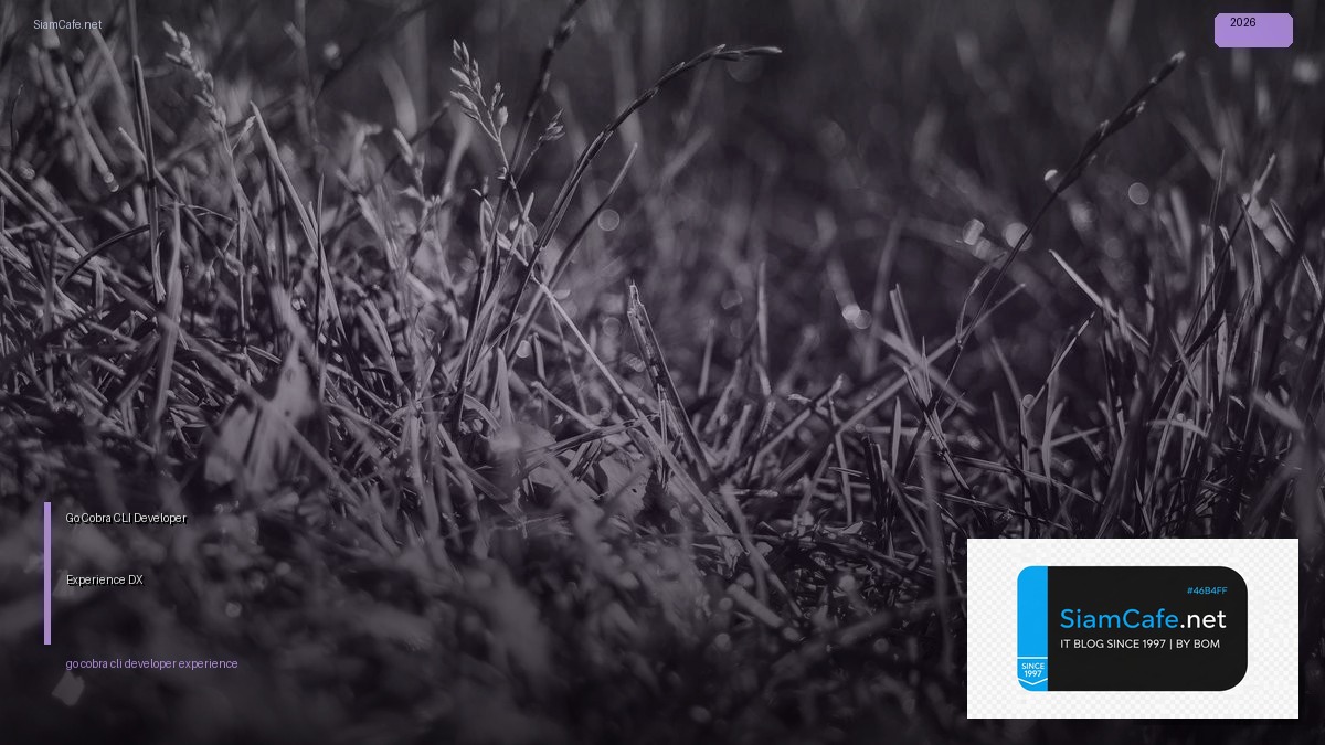 go cobra cli developer experience dx