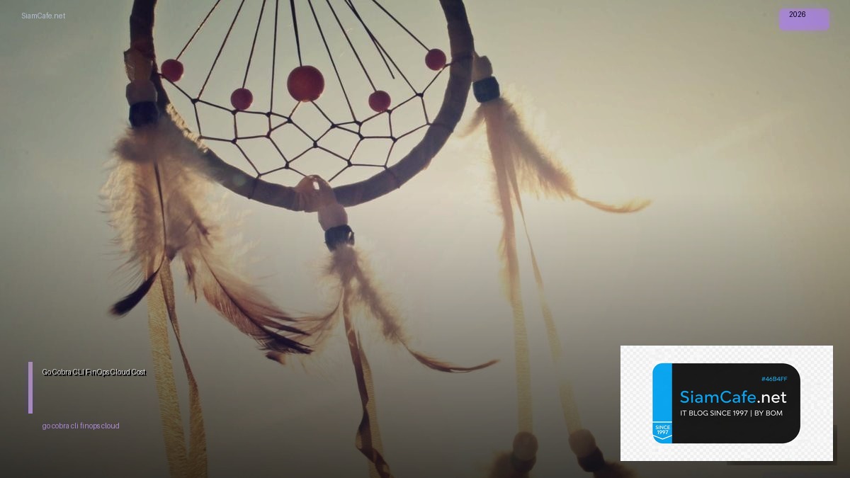 go cobra cli finops cloud cost