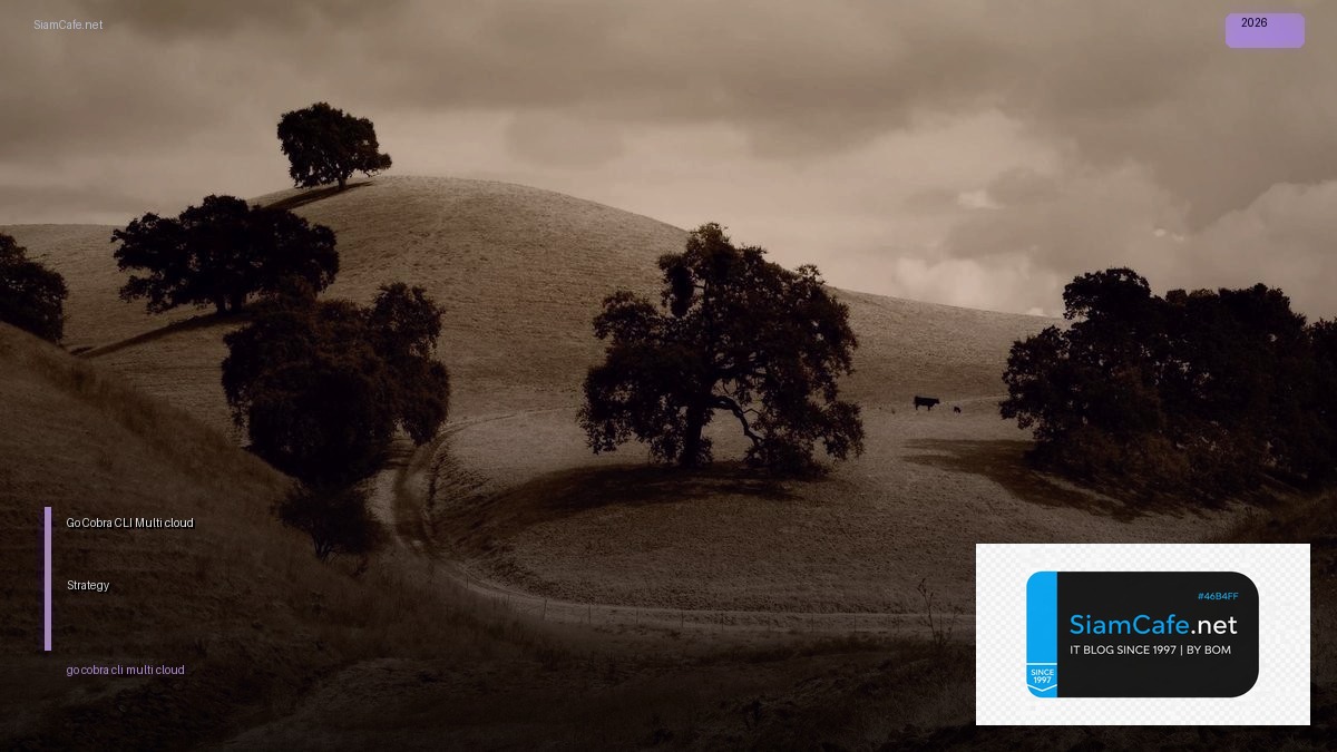 go cobra cli multi cloud strategy