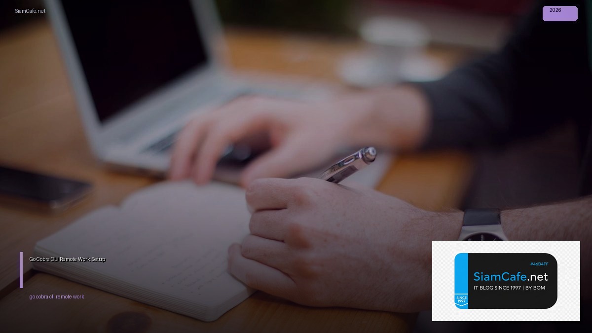 go cobra cli remote work setup