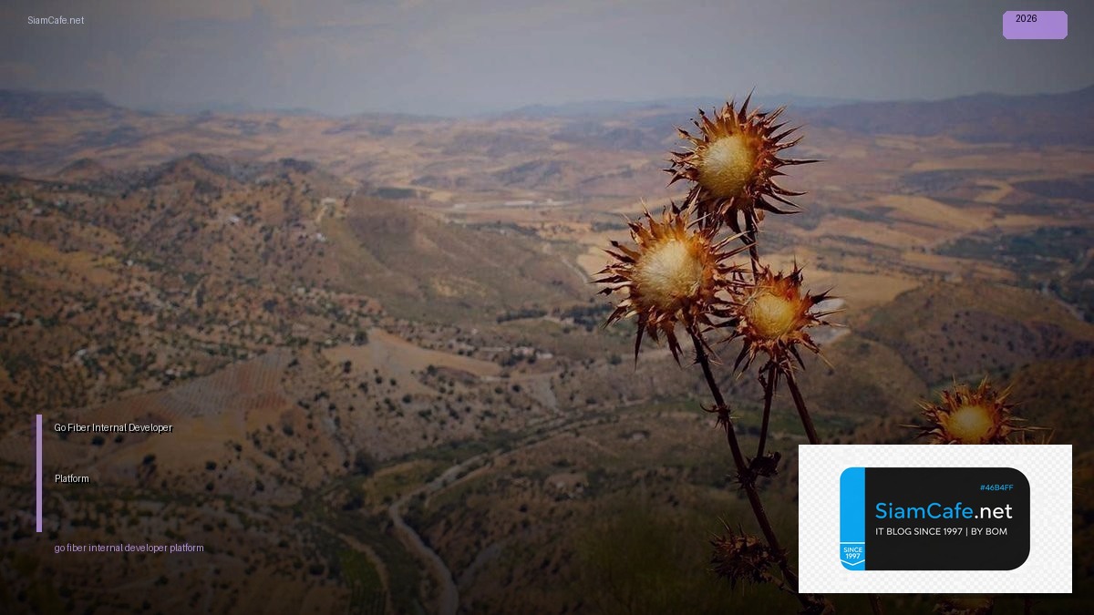 go fiber internal developer platform