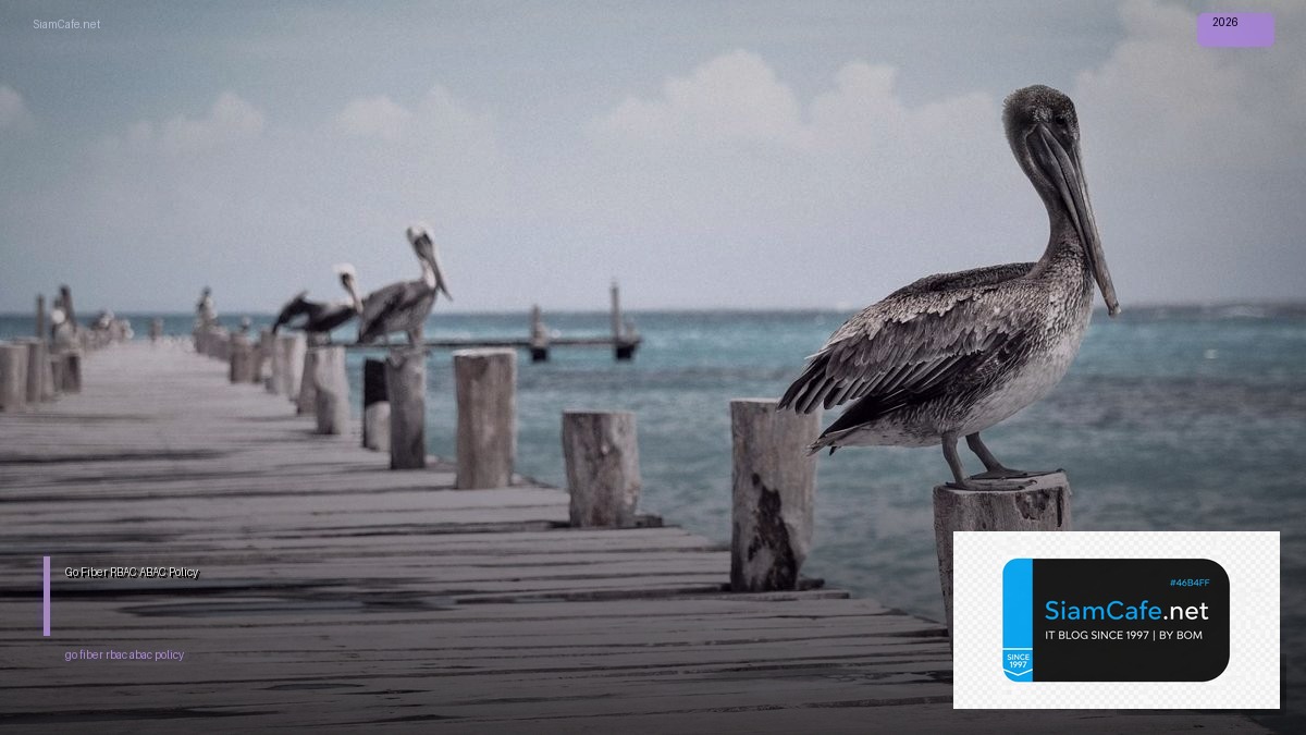 go fiber rbac abac policy