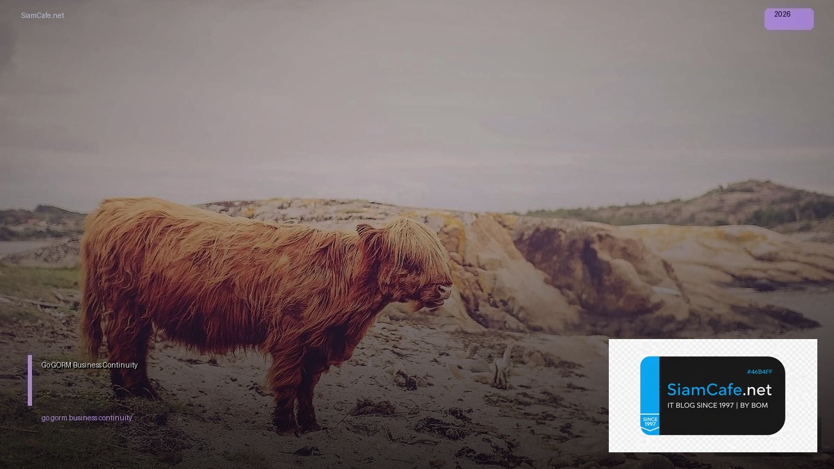 go gorm business continuity