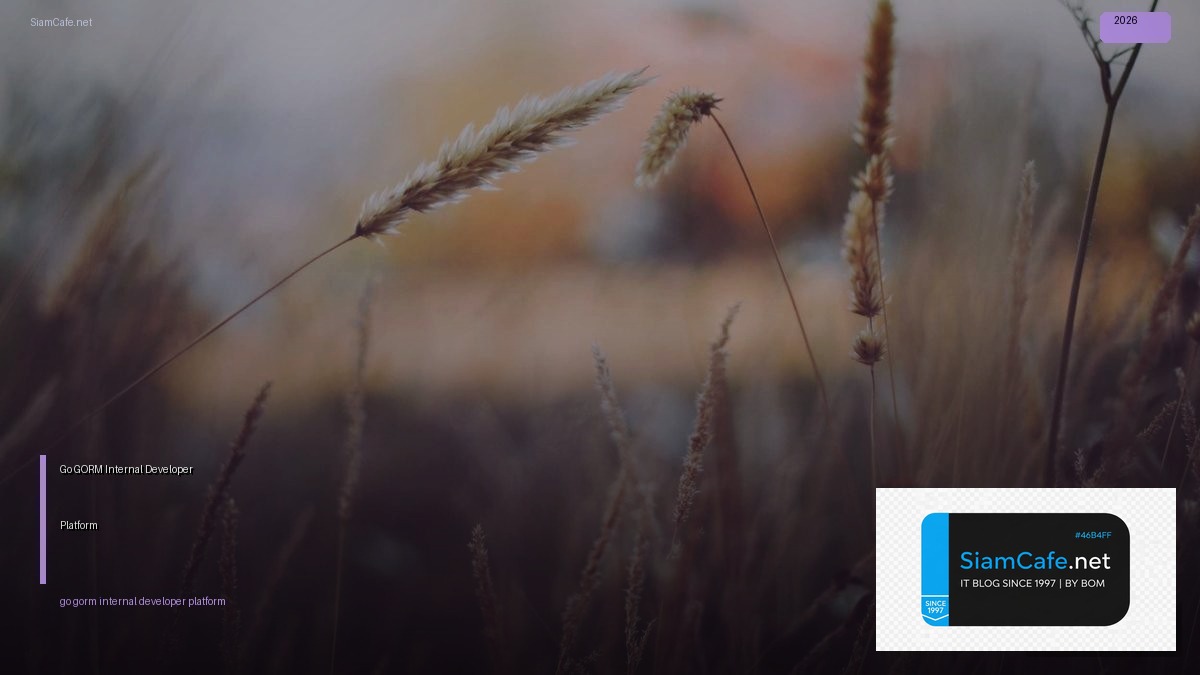 go gorm internal developer platform