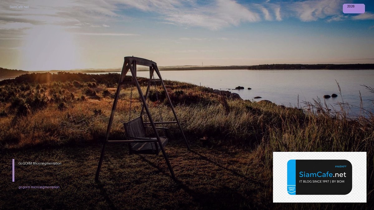 go gorm micro segmentation