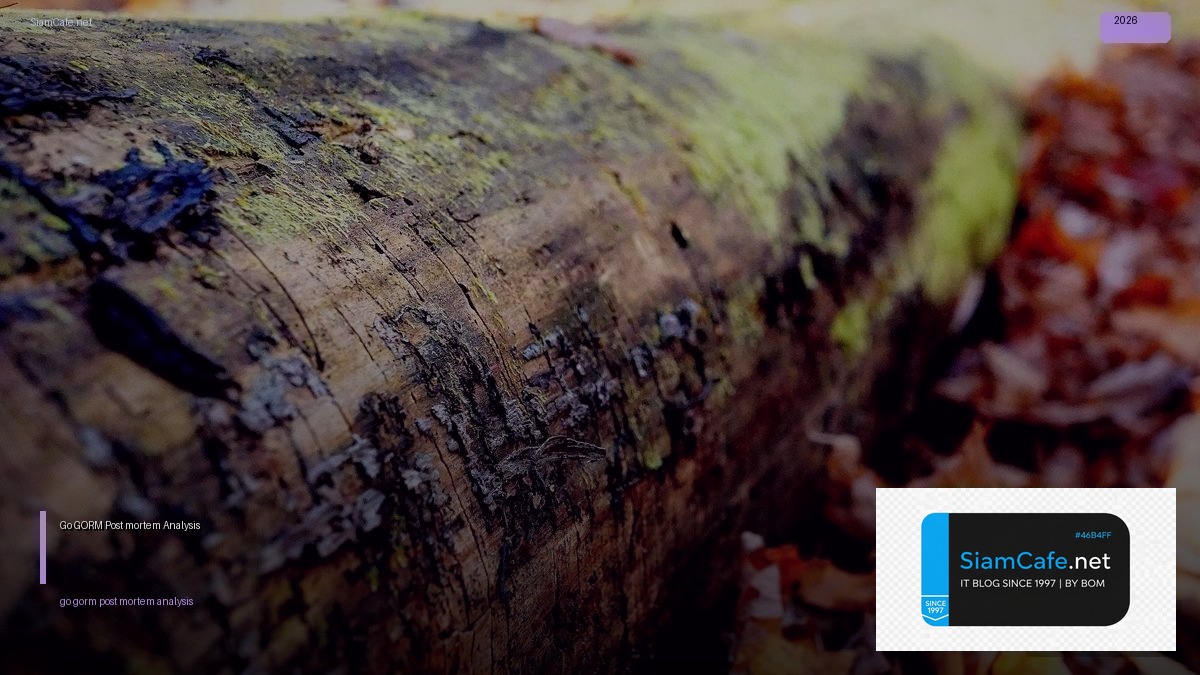 go gorm post mortem analysis