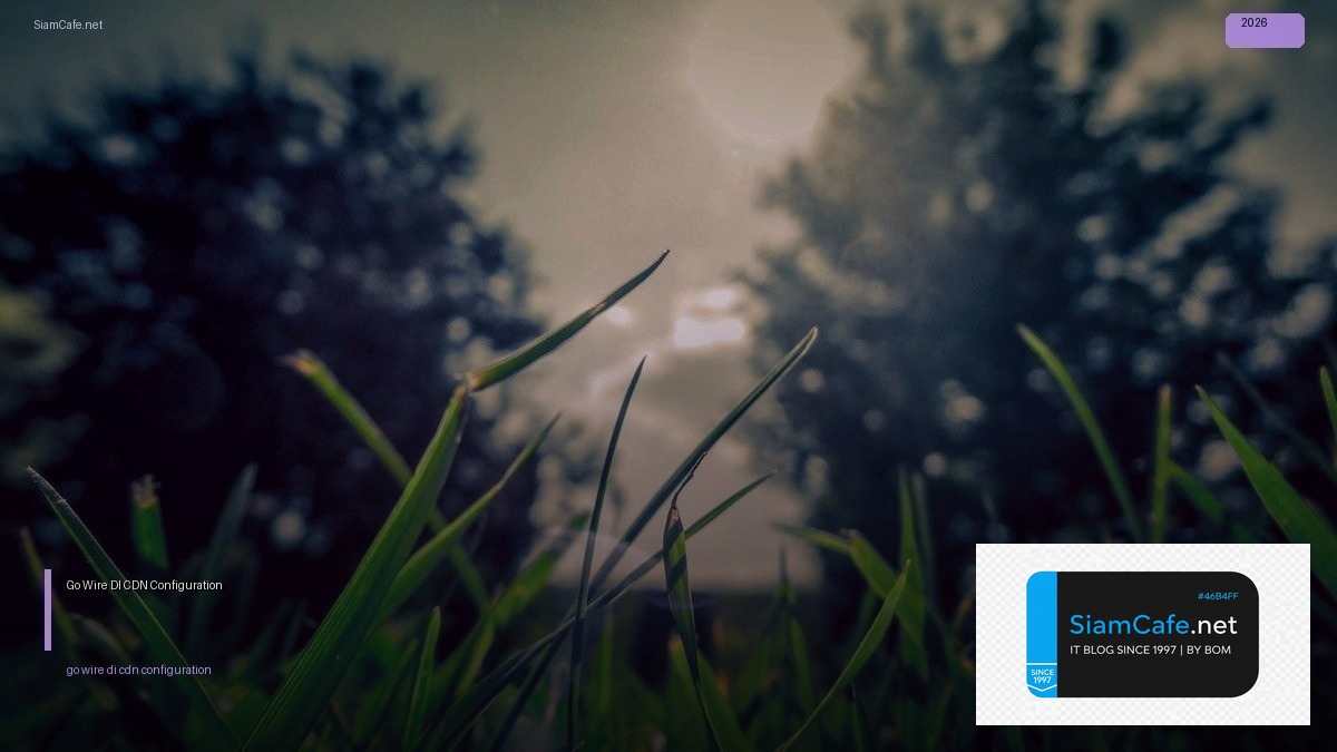 go wire di cdn configuration