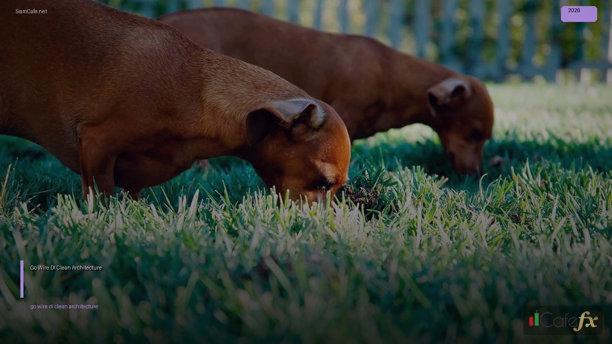 Go Wire DI Clean Architecture — คู่มือฉบับสมบูรณ์ 2026 | SiamCafe Blog