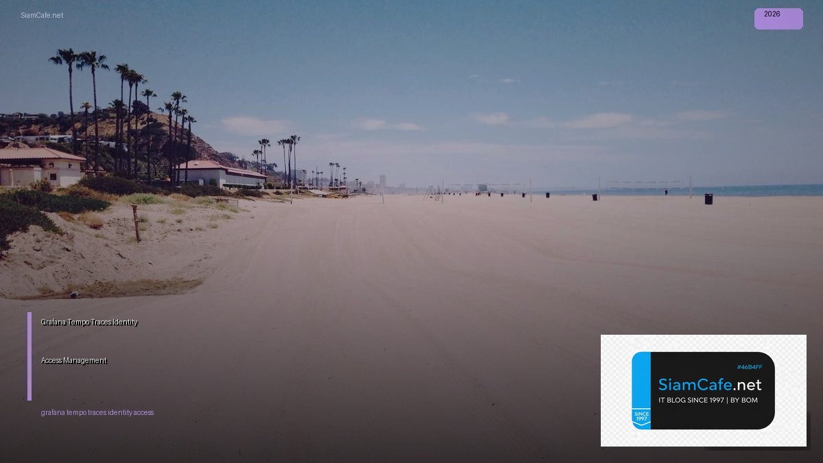 grafana tempo traces identity access management