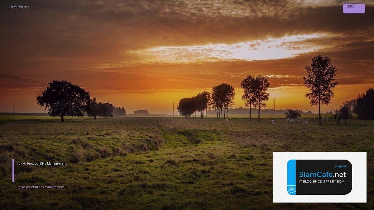 grpc protobuf dns management