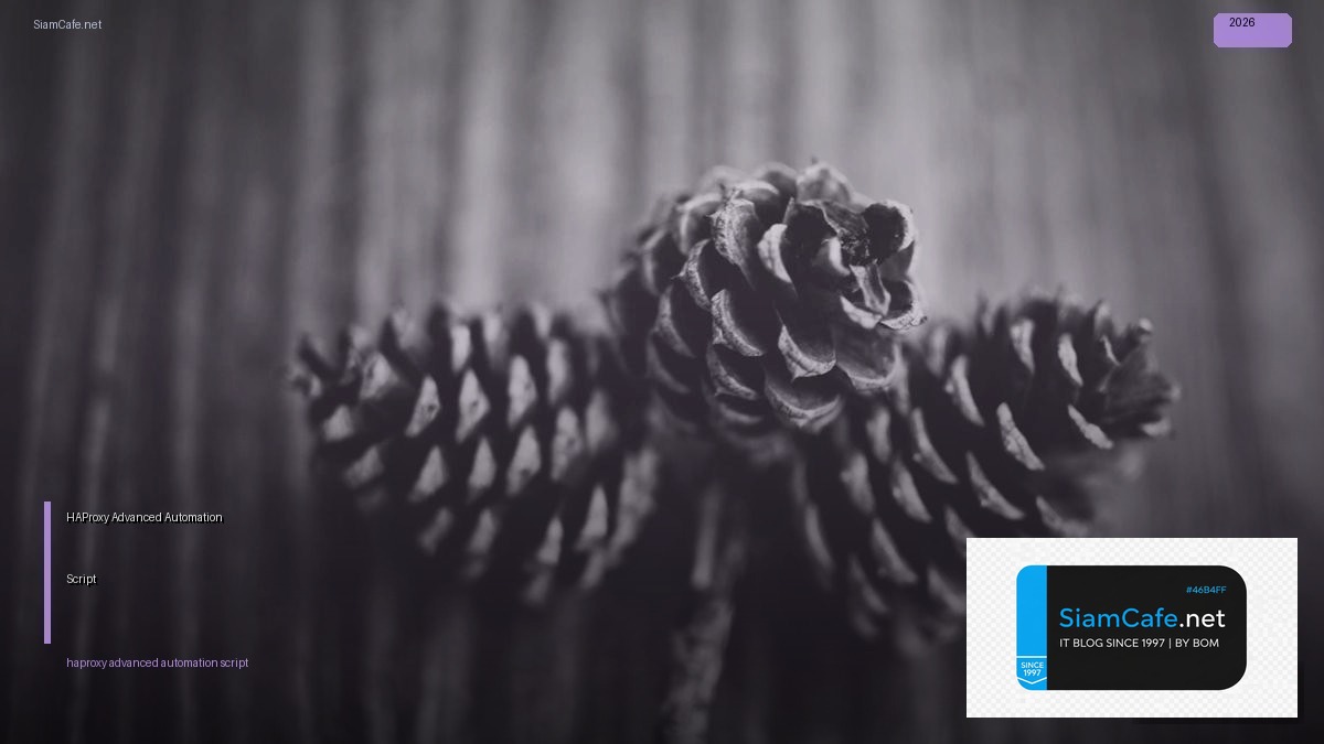 HAProxy Advanced Automation Script — คู่มือฉบับสมบูรณ์ 2026 | SiamCafe Blog