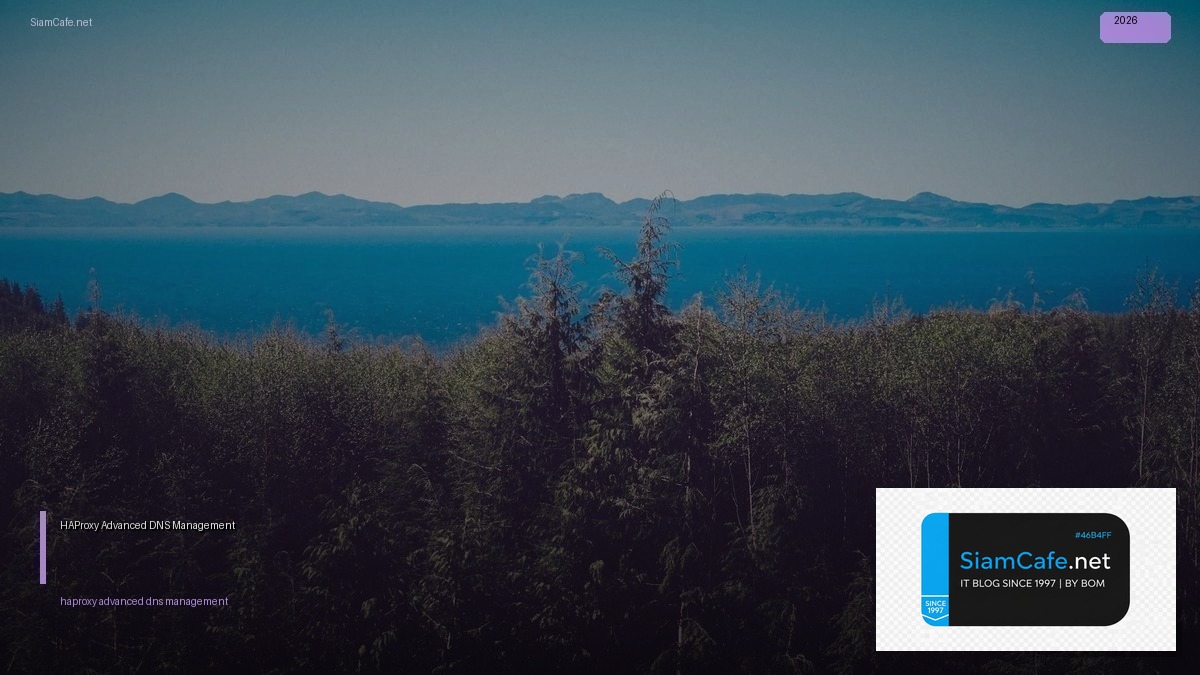 haproxy advanced dns management