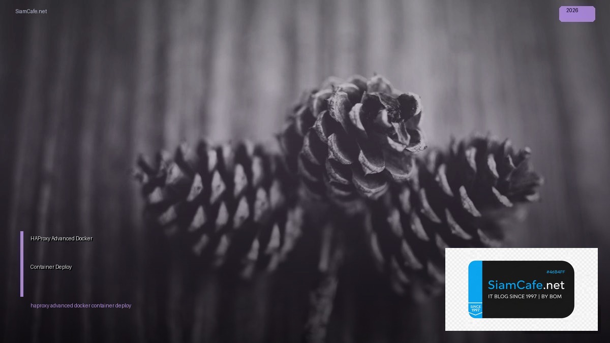 HAProxy Advanced Docker Container Deploy — คู่มือฉบับสมบูรณ์ 2026 | SiamCafe Blog