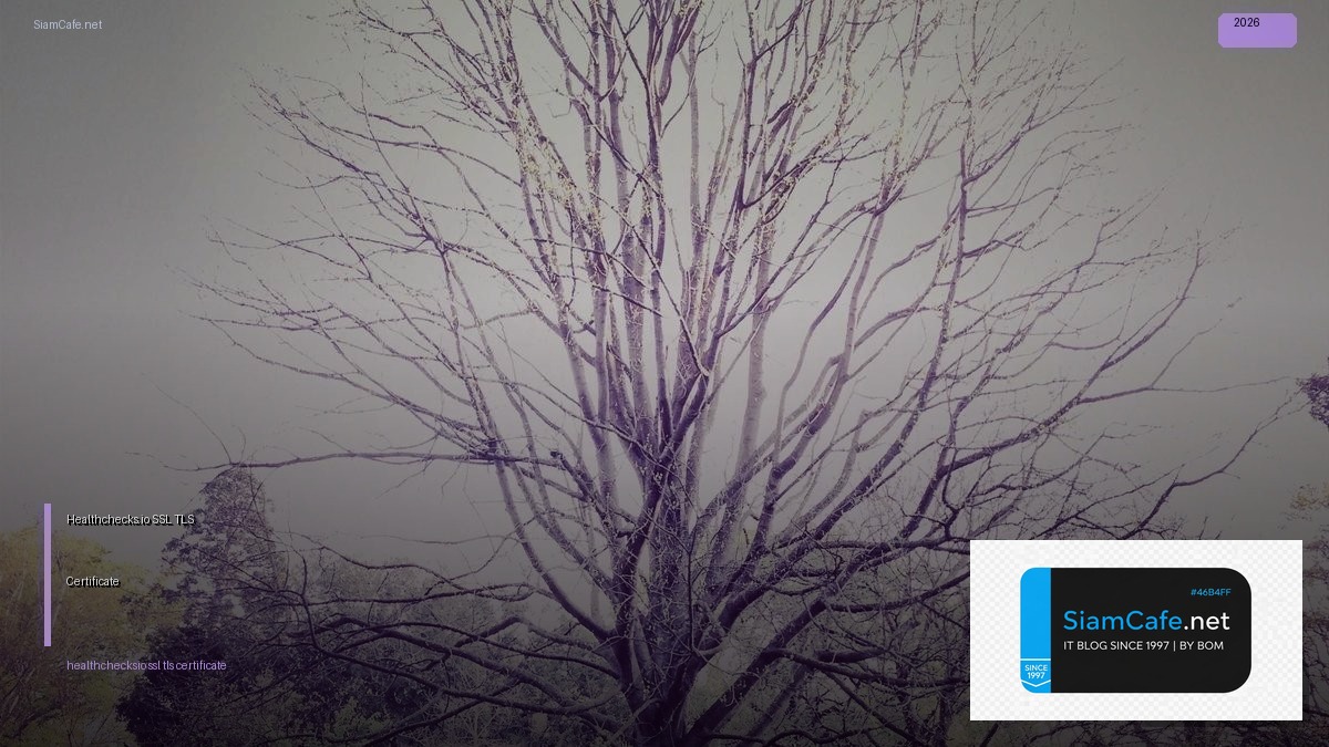 Healthchecks.io SSL TLS Certificate | SiamCafe Blog